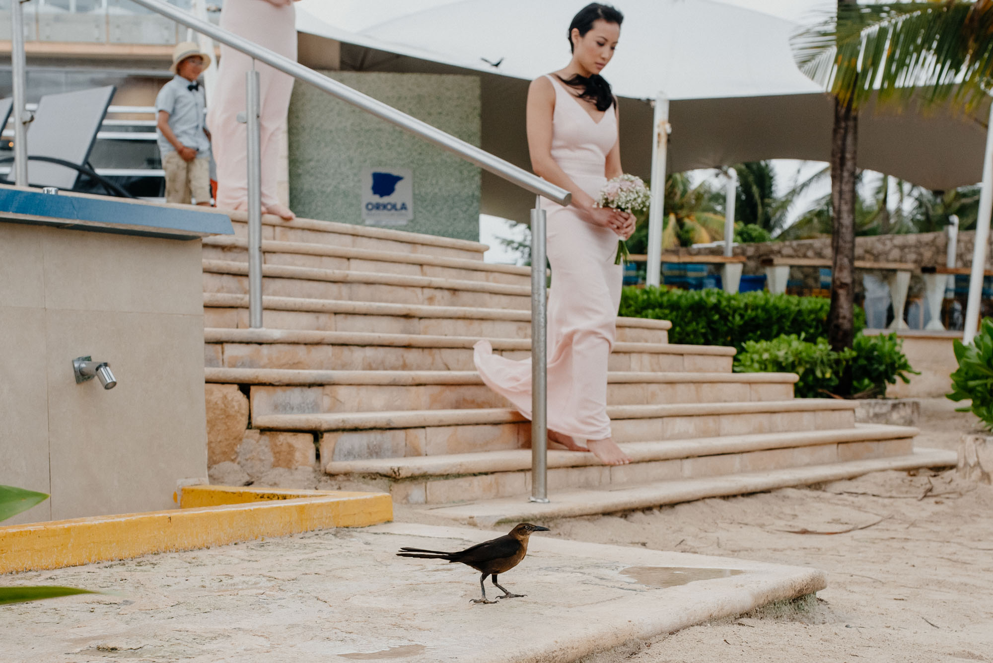 a bird is walking when a bridesmad is waling as well